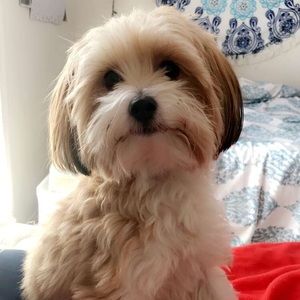 Meet your Posher, Noor